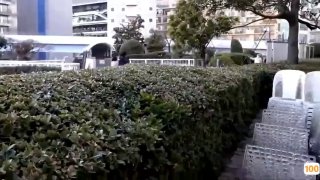 亚洲视频一区_欧美日韩亚洲国产精品_亚洲性夜色九九九久久久